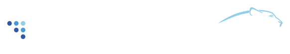 LeopardSolutions Logo