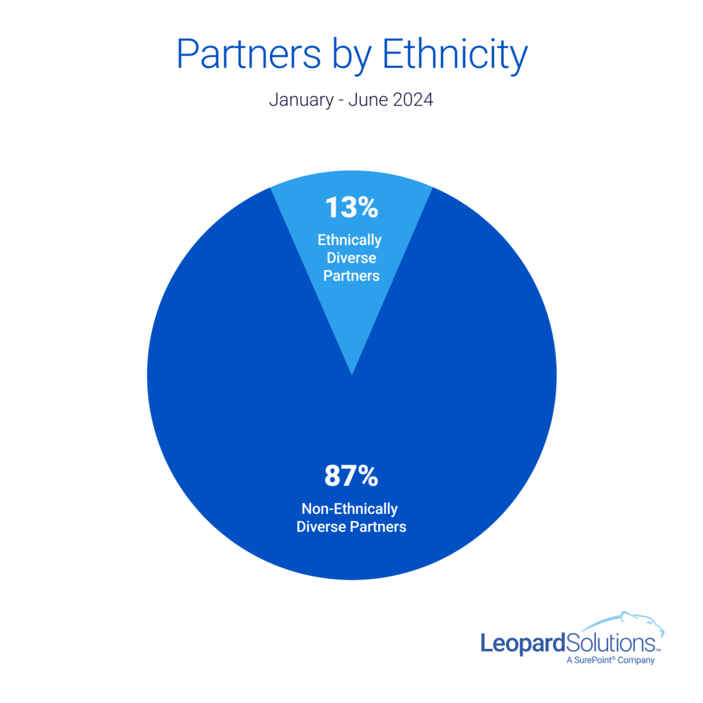 Partners by Ethnicity - Jan-Jun 2024